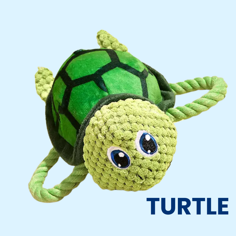 DuraBite™ Indestructible & Interactive Sea Turtle