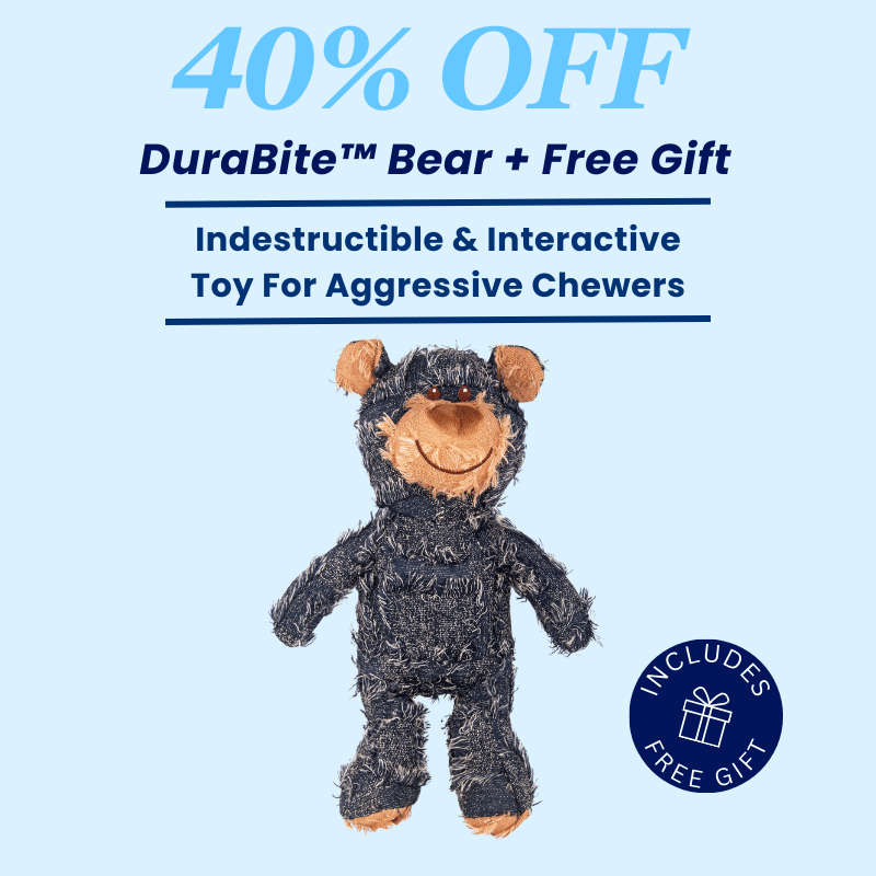 DuraBite™ Indestructible & Interactive Bear