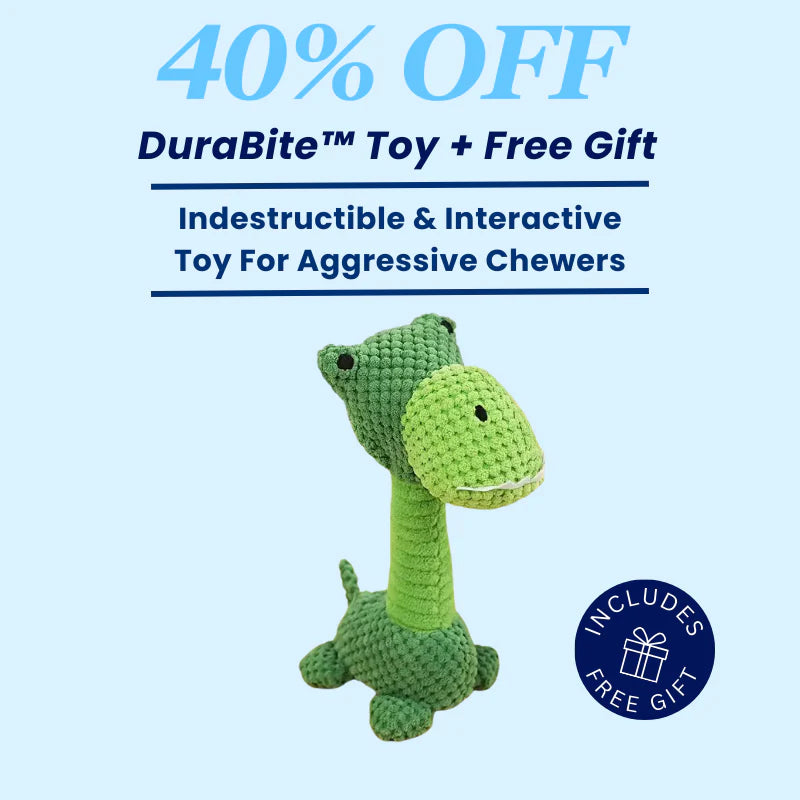 DuraBite™ Indestructible & Interactive Dinosaur Toy