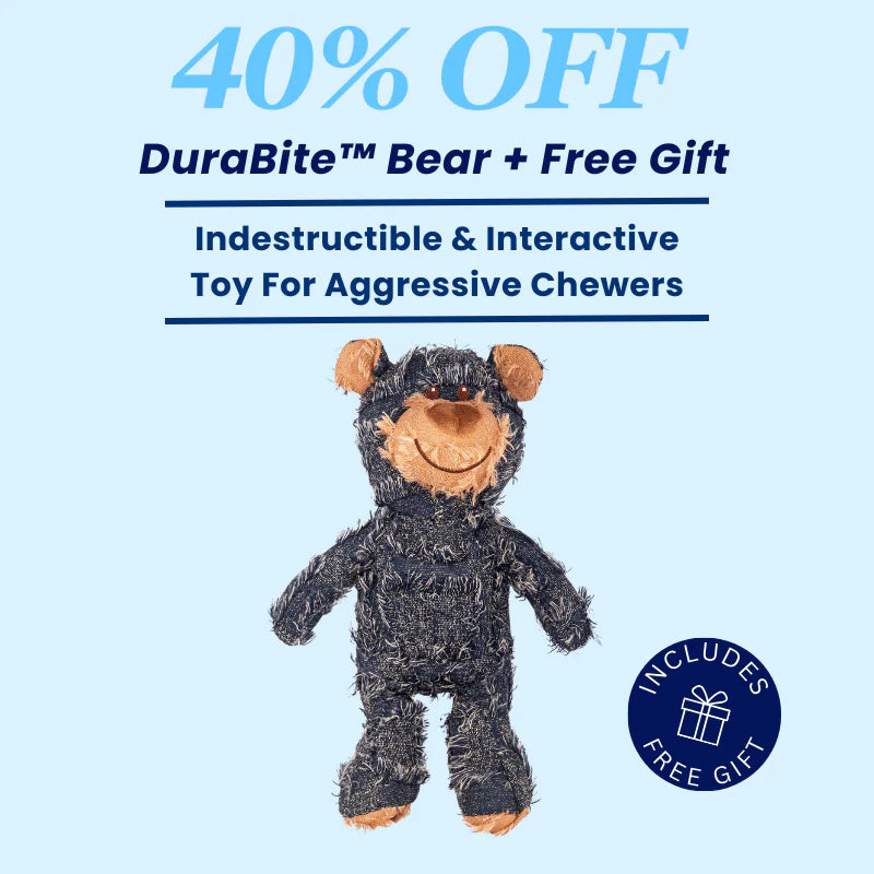 DuraBite™ Indestructible & Interactive Bear 2.0