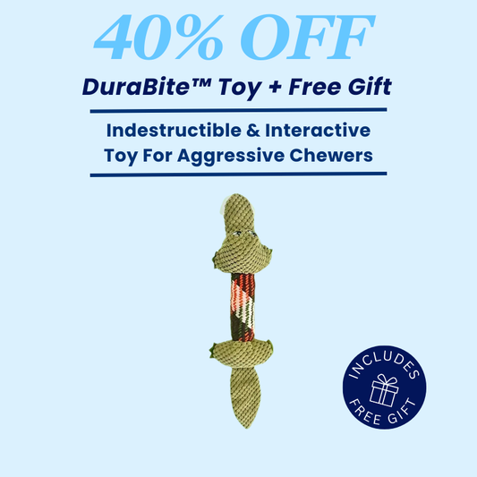 DuraBite™ Indestructible & Interactive Squeaky Crocodile