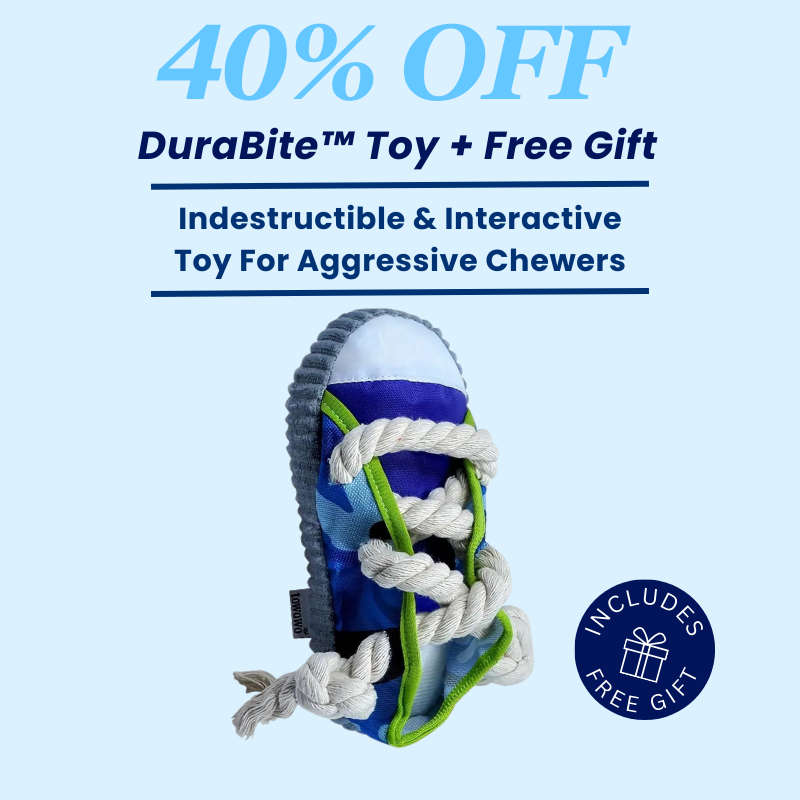 DuraBite™ Indestructible & Interactive Squeaky Shoe