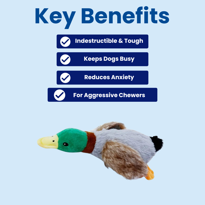 DuraBite™ Indestructible & Interactive Squeaky Duck