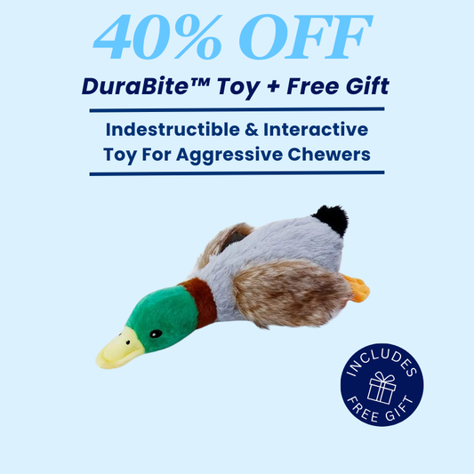 DuraBite™ Indestructible & Interactive Squeaky Duck