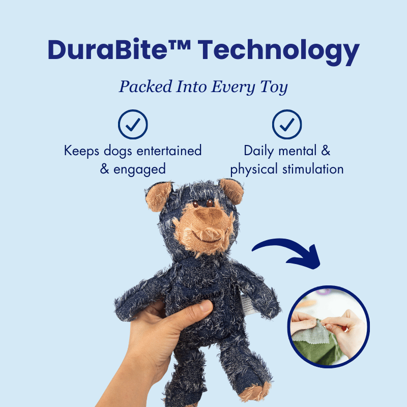 DuraBite™ Indestructible & Interactive Bear