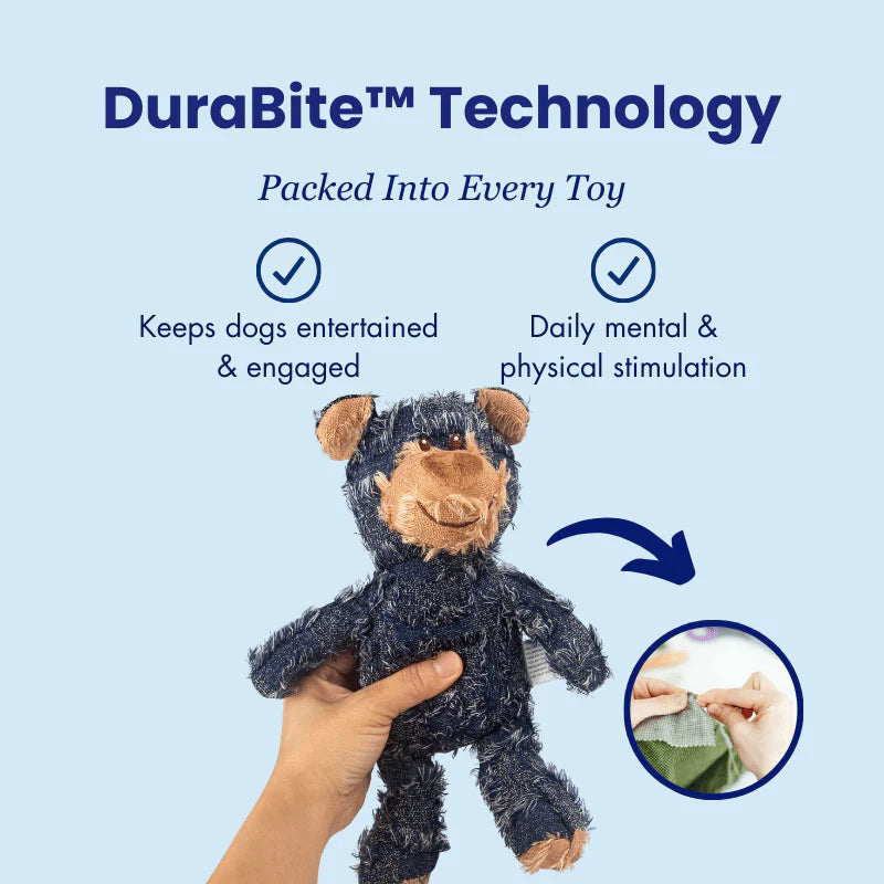 DuraBite™ Indestructible & Interactive Bear 2.0