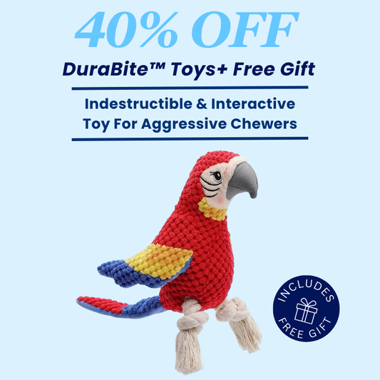 DuraBite™ Indestructible & Interactive Macaw Toy