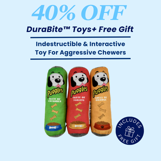 DuraBite™ Indestructible & Interactive Chips Chew Toy