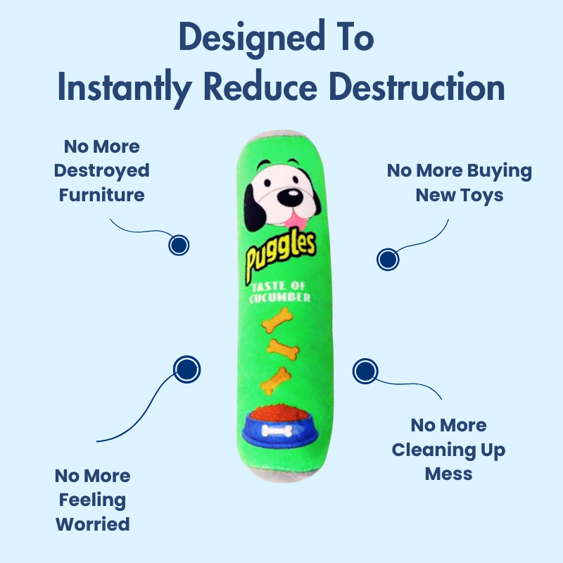 DuraBite™ Indestructible & Interactive Chips Chew Toy