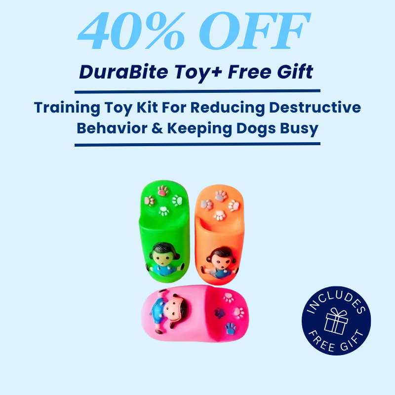 DuraBite For Aggressive Chewers Rubber Slippers