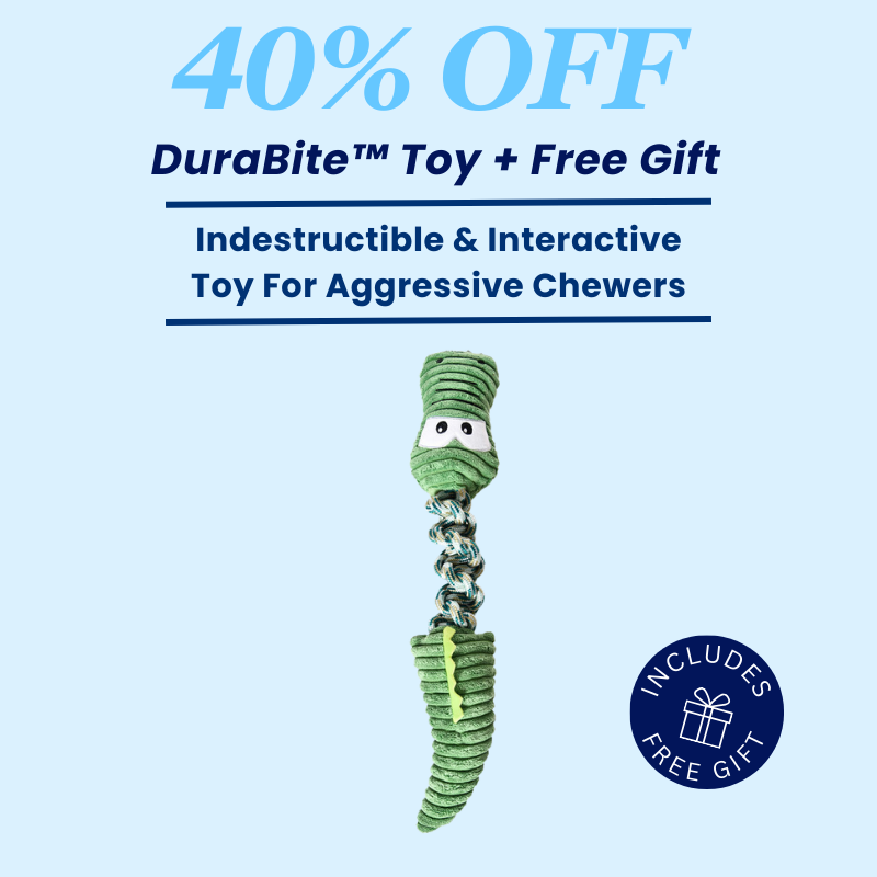 DuraBite™ Indestructible & Interactive Crocodile Plush Knot