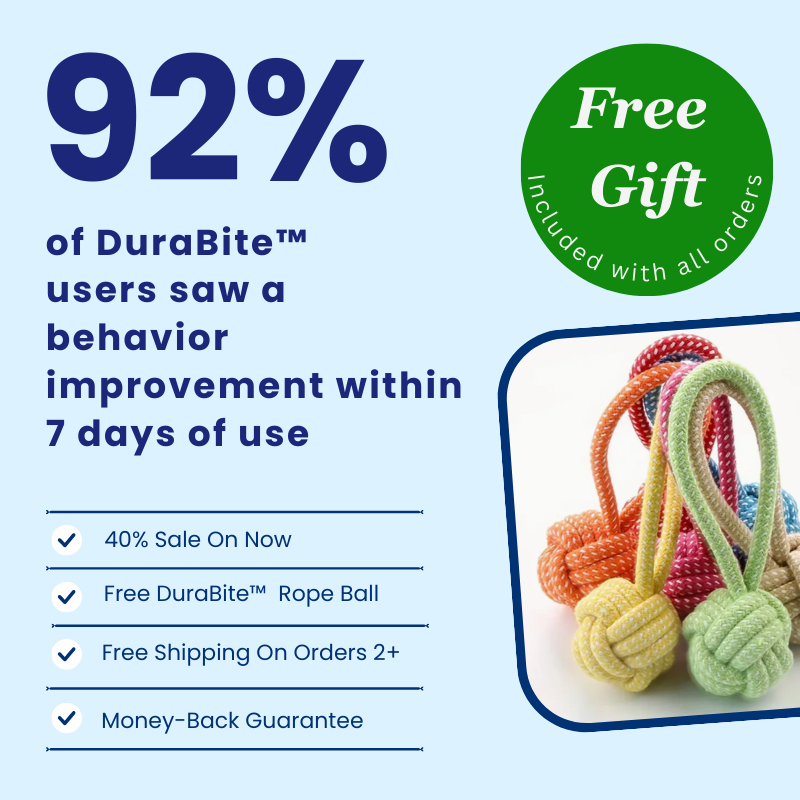 DuraBite™ Indestructible & Interactive Blue Rope Toy