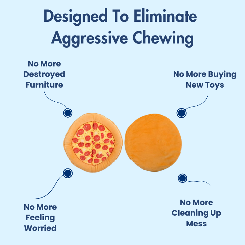 DuraBite For Aggressive Chewers Squeaky Pizza