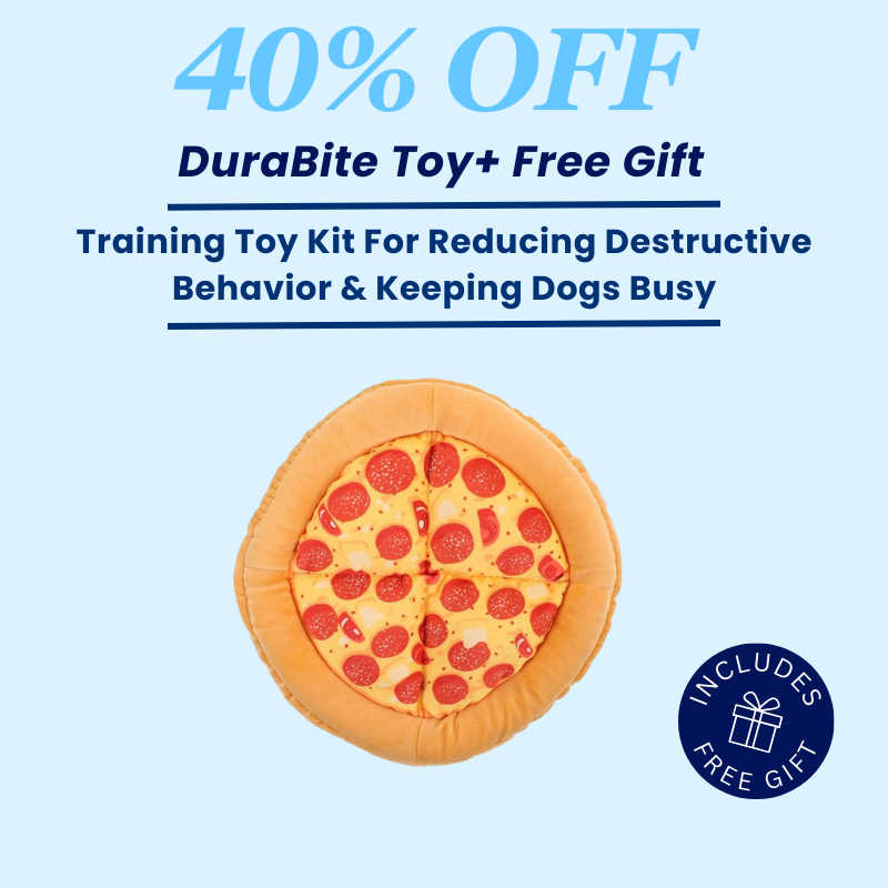 DuraBite For Aggressive Chewers Squeaky Pizza