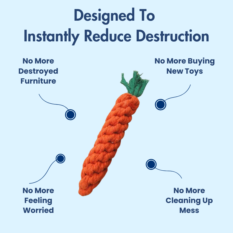 DuraBite™ Indestructible & Interactive Carrot-Shaped Toy