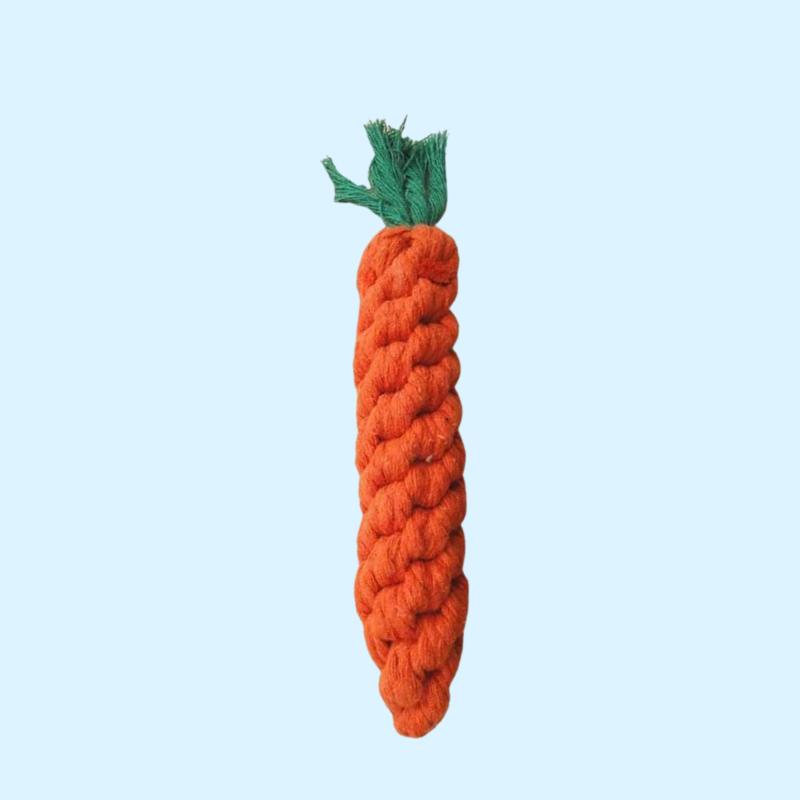 DuraBite™ Indestructible & Interactive Carrot-Shaped Toy