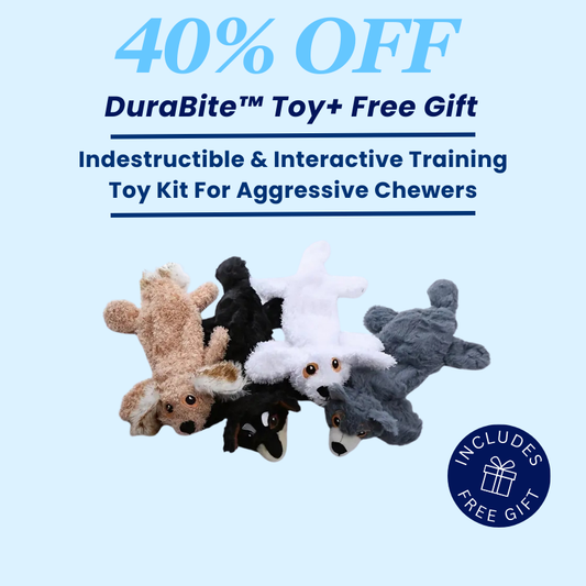 DuraBite For Aggressive Chewers Durable Dog Plush