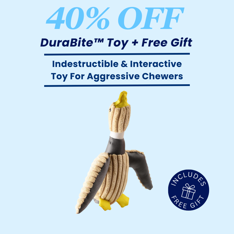 DuraBite™ Indestructible & Interactive Duck Plush Toy