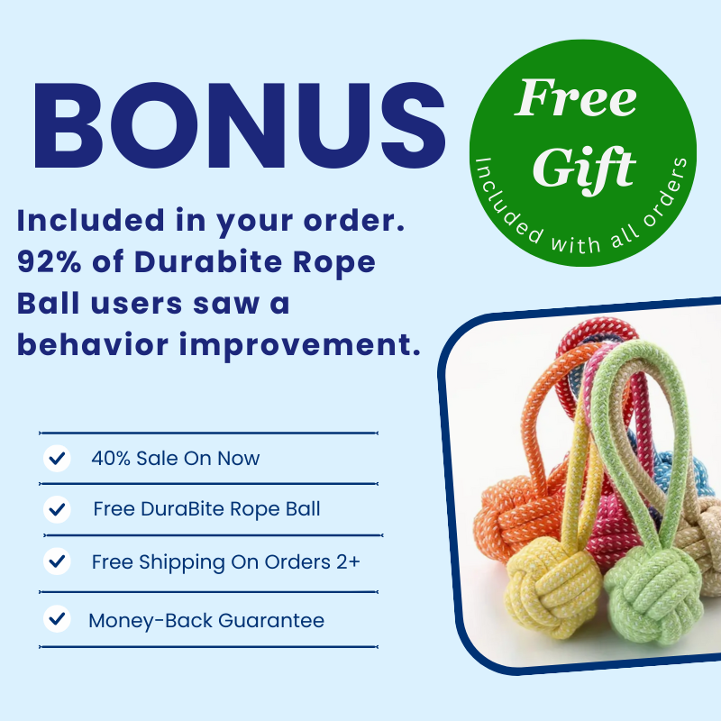 DuraBite Behaviour Boost Obedient Dog Bear Toy