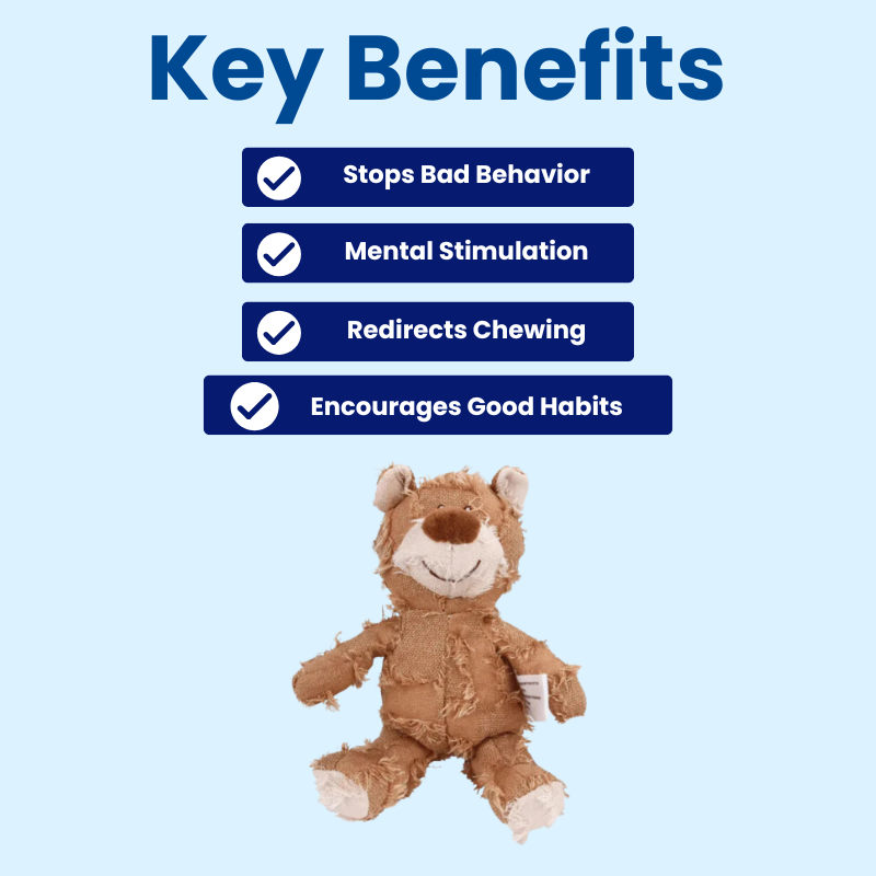 DuraBite Behaviour Boost Obedient Dog Bear Toy