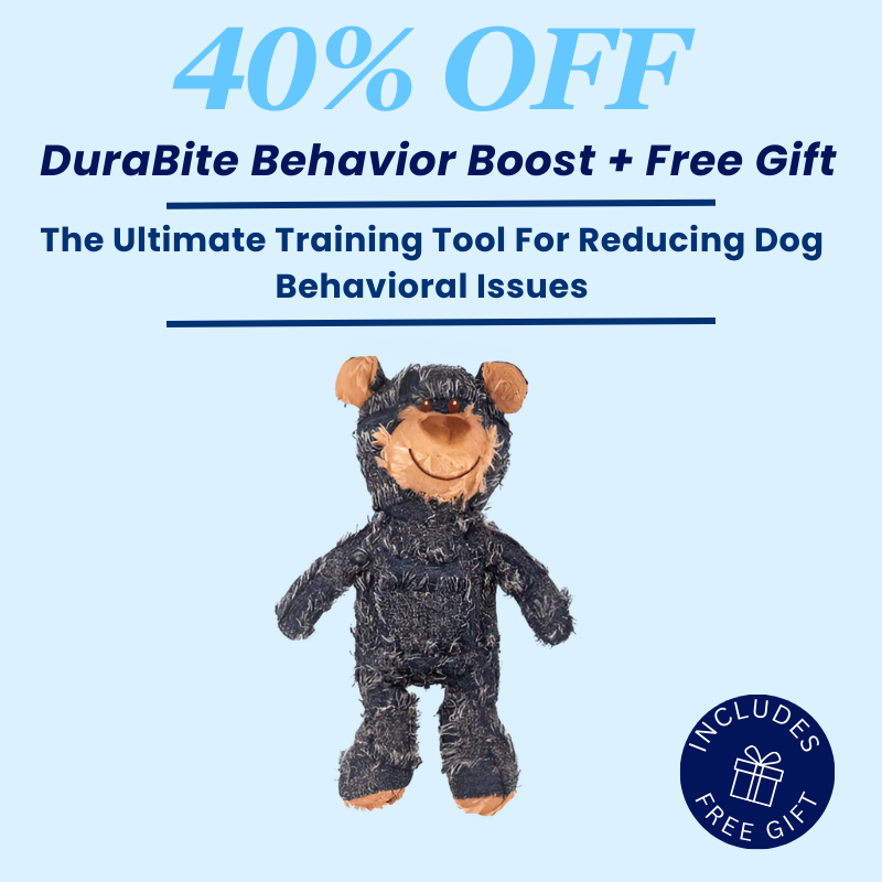 DuraBite Behaviour Boost Obedient Dog Bear Toy