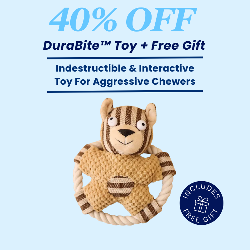 DuraBite™ Indestructible & Interactive Rope Bear