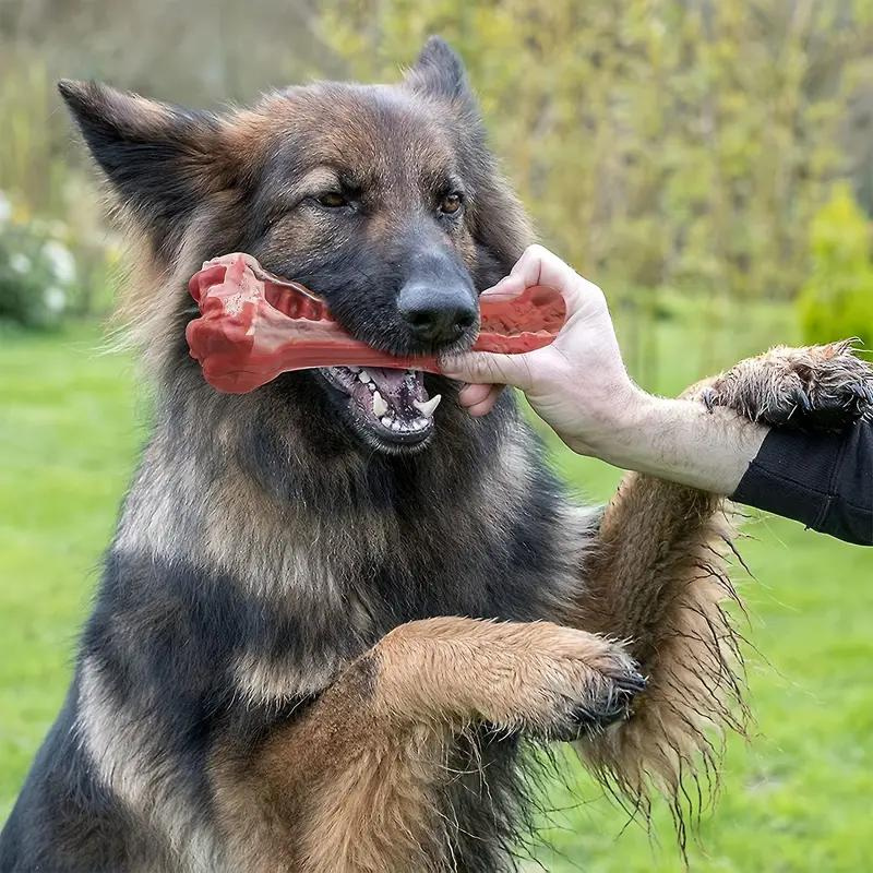 DuraBite™ Indestructible & Interactive Chew Bone