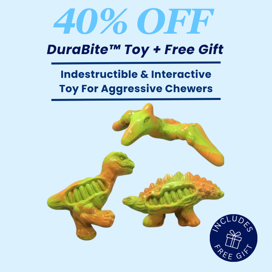 DuraBite™ Indestructible & Interactive Cartoon Dinosaur