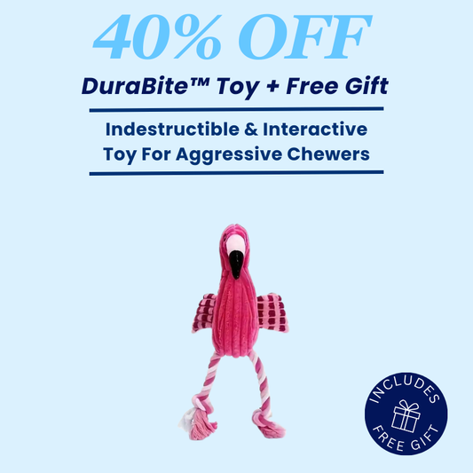 DuraBite™ Indestructible & Interactive Flamingo Toy