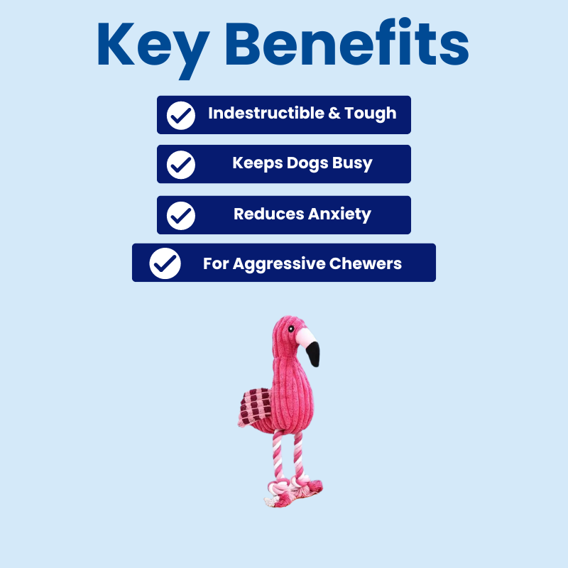 DuraBite™ Indestructible & Interactive Flamingo Toy