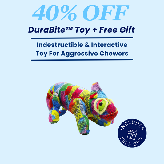 DuraBite™ Indestructible & Interactive Colorful Chameleon