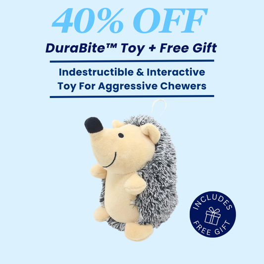 DuraBite™ Indestructible & Interactive Hedgehog Toy