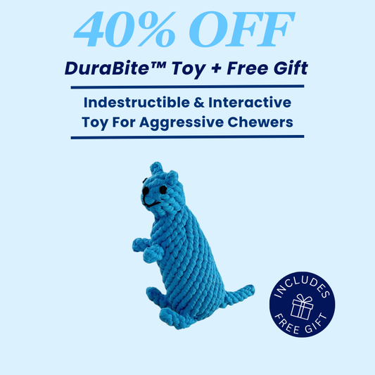 DuraBite™ Indestructible & Interactive Blue Rope Toy