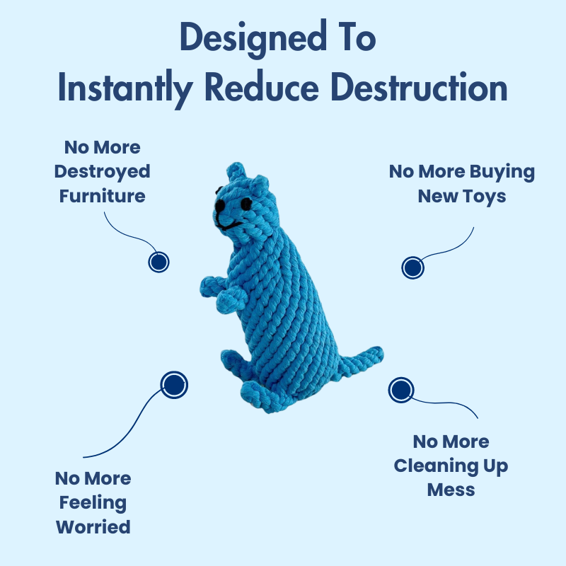 DuraBite™ Indestructible & Interactive Blue Rope Toy