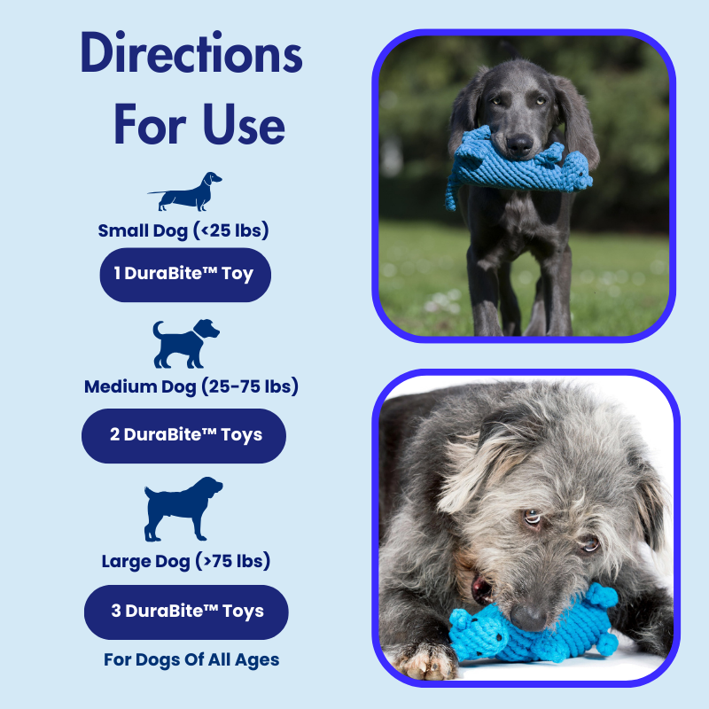 DuraBite™ Indestructible & Interactive Blue Rope Toy