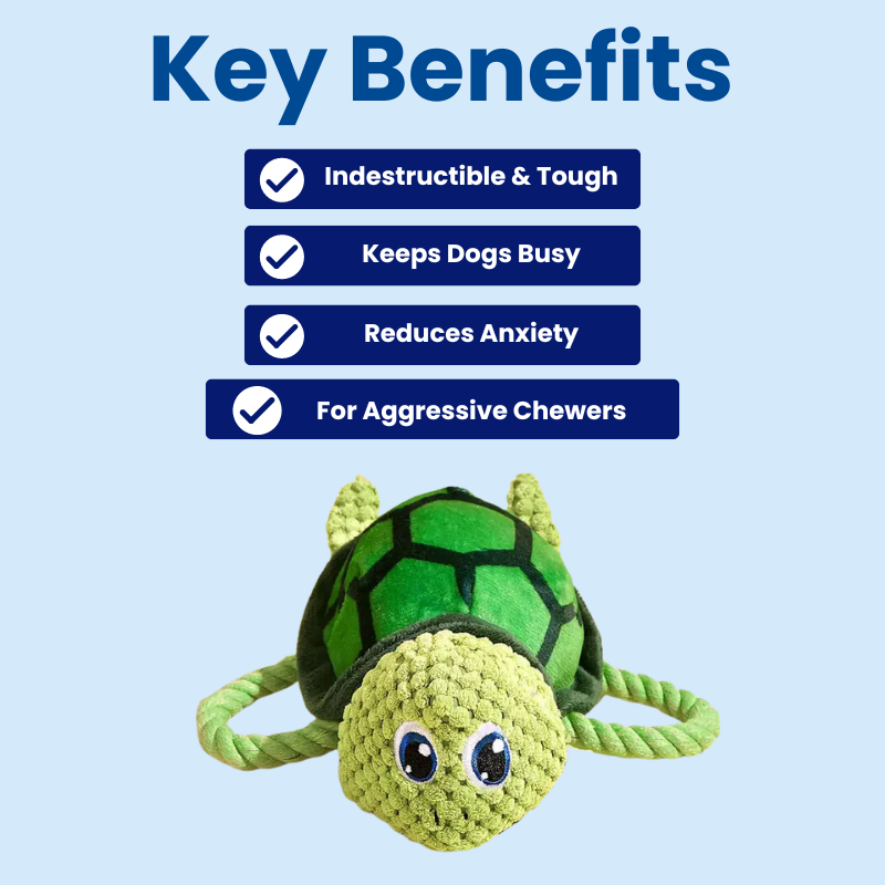 DuraBite™ Indestructible & Interactive Sea Turtle