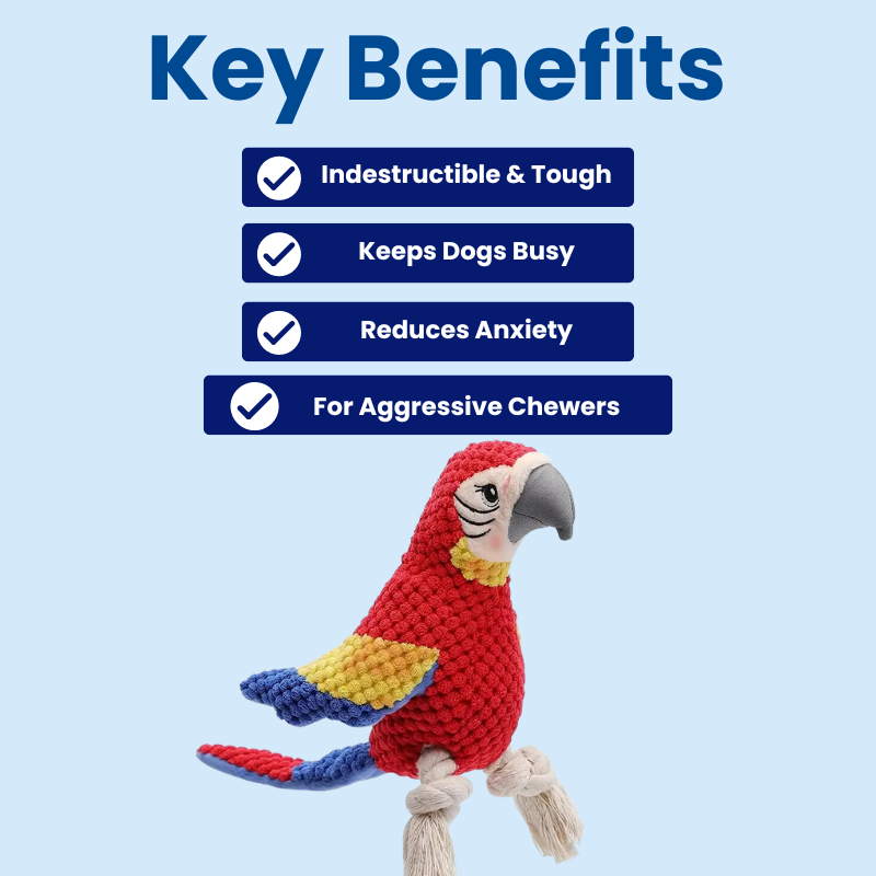 DuraBite™ Indestructible & Interactive Macaw Toy