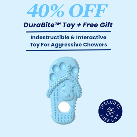 DuraBite™ Indestructible & Interactive Slippers