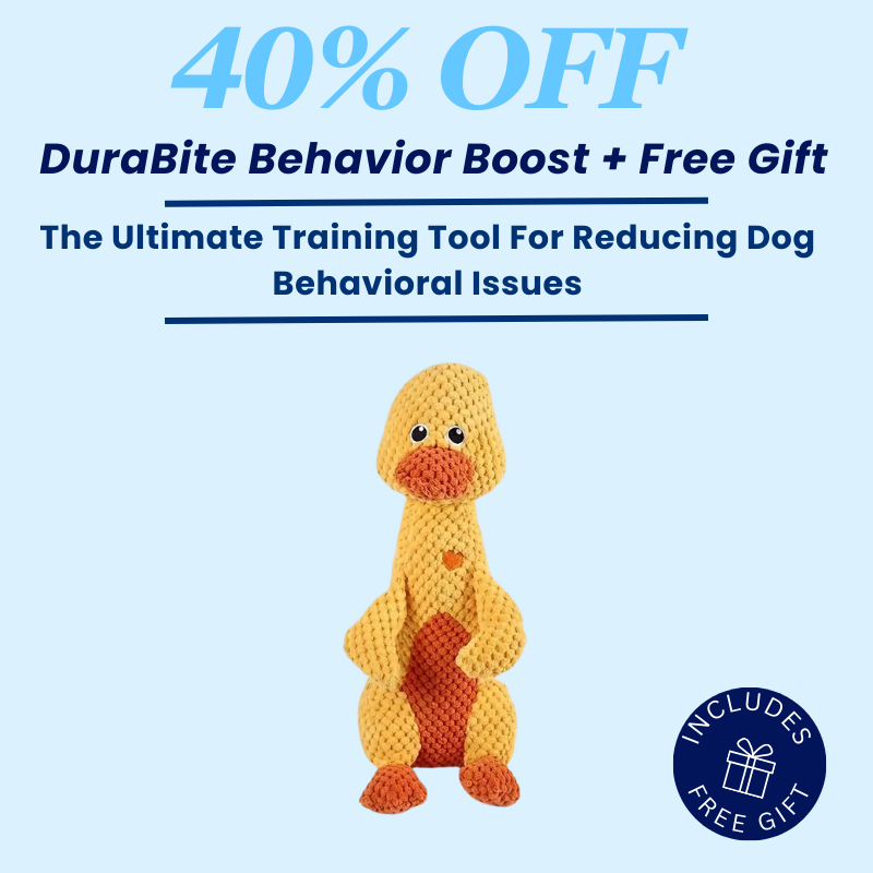 DuraBite Behaviour Boost Obedient Dog Plush Toy