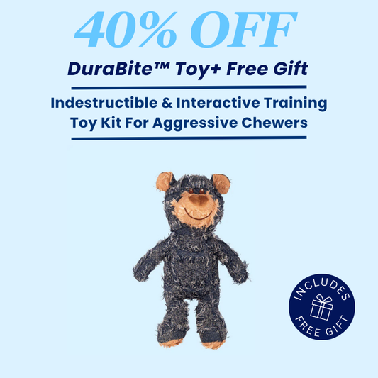 DuraBite For Aggressive Chewers Dog Bear Toy