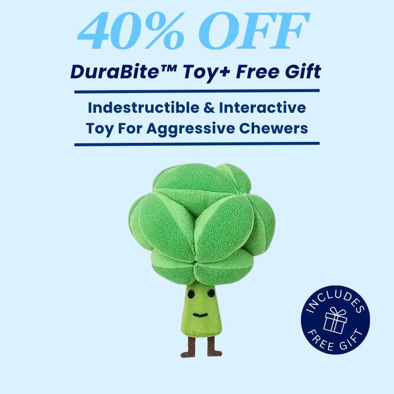 DuraBite™ Indestructible & Interactive Squeaky Broccoli