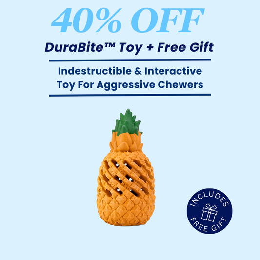 DuraBite™ Indestructible & Interactive Tough Pineapple