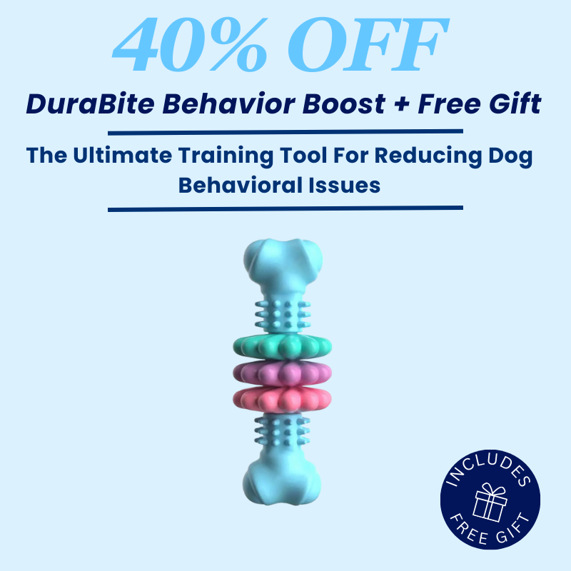 DuraBite Behaviour Boost Obedient Dog Teething Toy