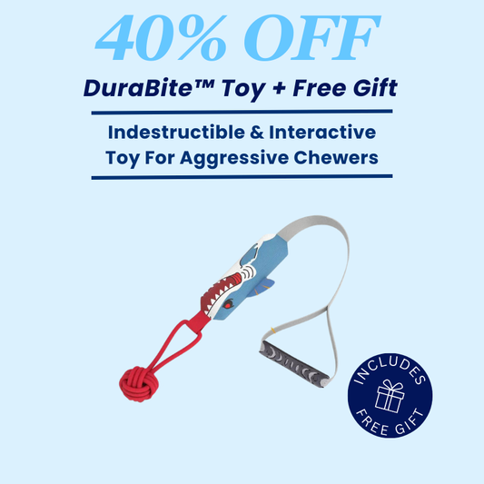 DuraBite™ Indestructible & Interactive Tug Toy