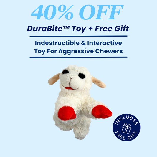 DuraBite™ Indestructible & Interactive Lamb Squeaky Toy