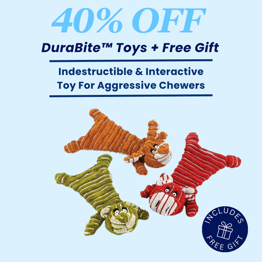 DuraBite™ Indestructible & Interactive 3 Pack Stripe Toy