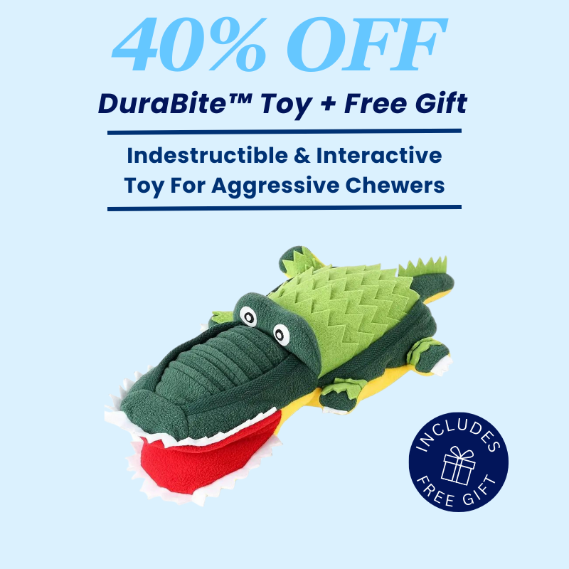 DuraBite™ Indestructible & Interactive Crocodile Plush Sniffing Toy