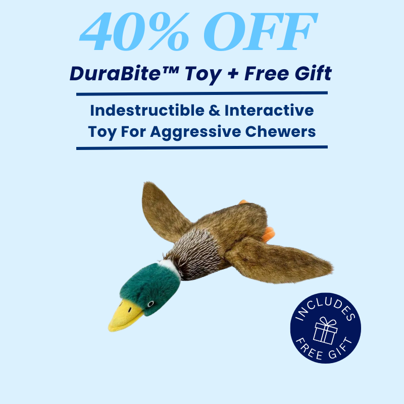 DuraBite™ Indestructible & Interactive Realistic Plush Duck