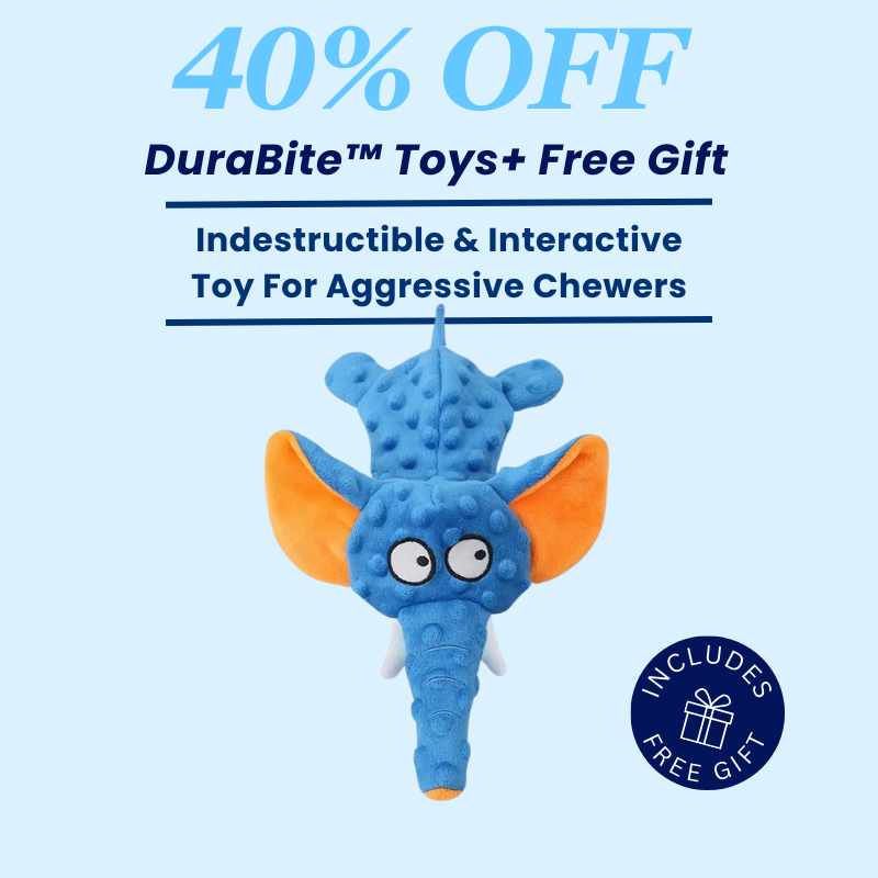 DuraBite™ Indestructible & Interactive Elephant Plush