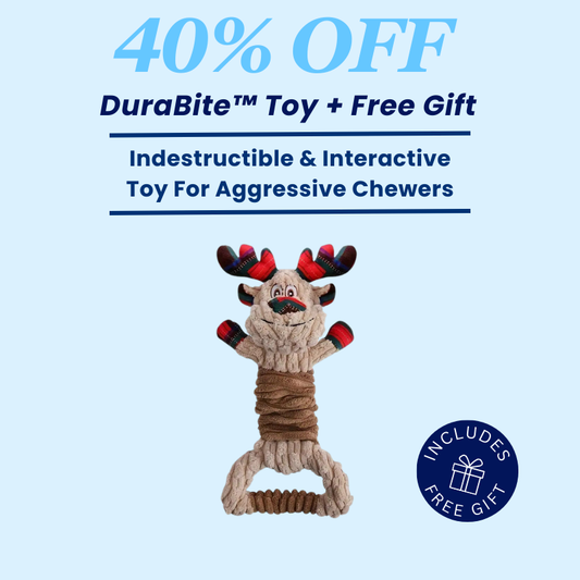 DuraBite™ Indestructible & Interactive Christmas Dog Toy